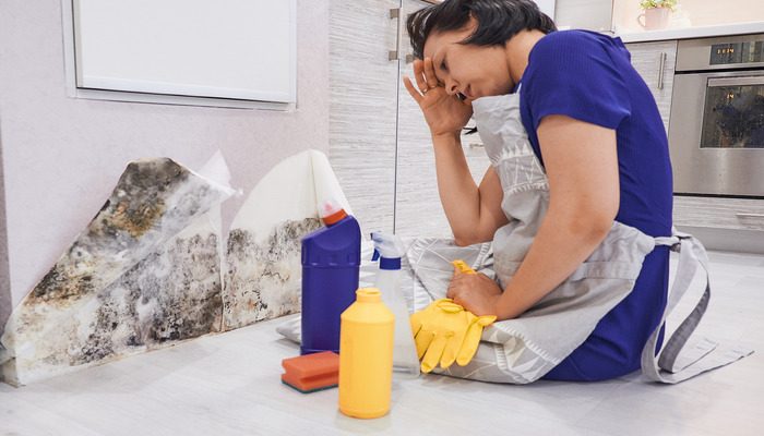 Water Damage Restoration Water Damage Restoration